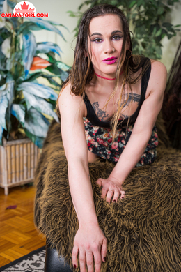 Can’t See The Wood For The Forest