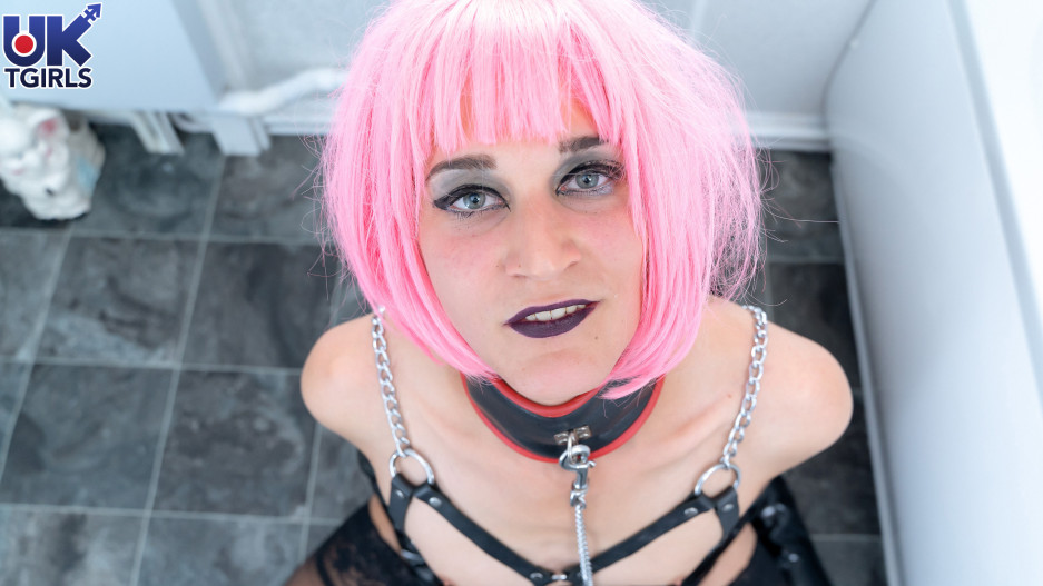 Sultry Mistress Dakota Spotlight!
