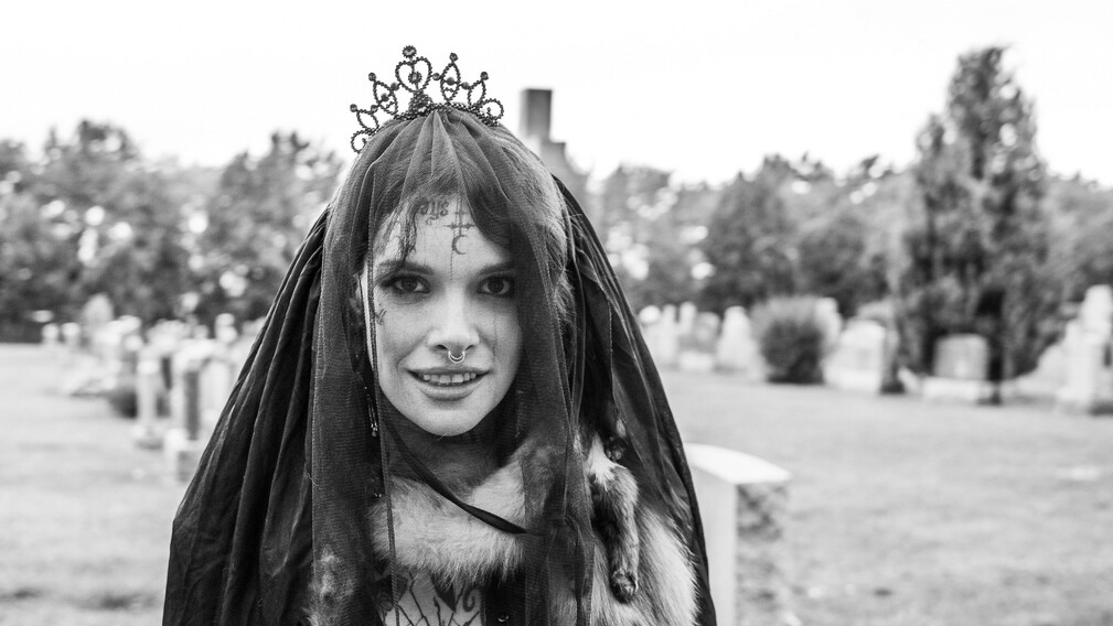 The Bewitching