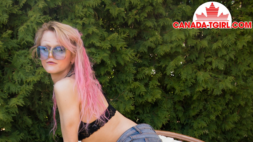 Playtime with Nikki Kittens